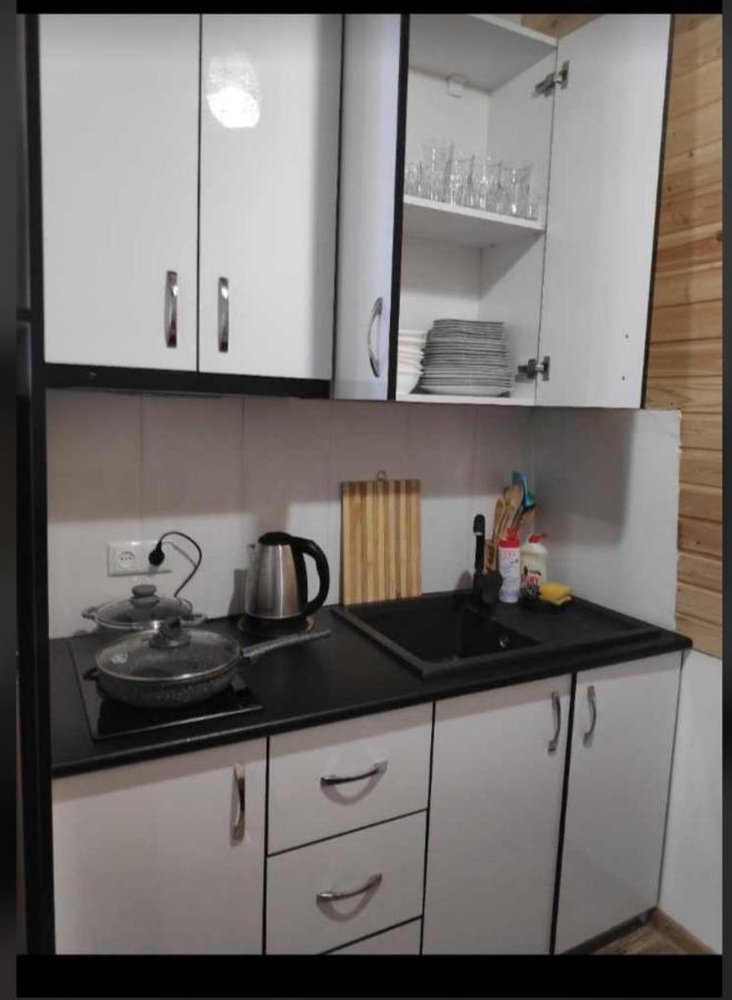 Mountain Dream House Apartment Gudauri Ngoại thất bức ảnh